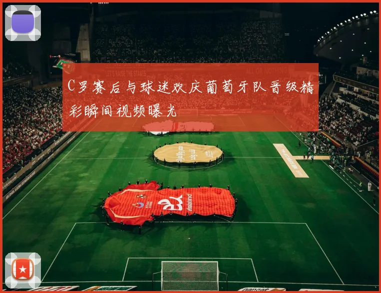 C罗赛后与球迷欢庆葡萄牙队晋级精彩瞬间视频曝光